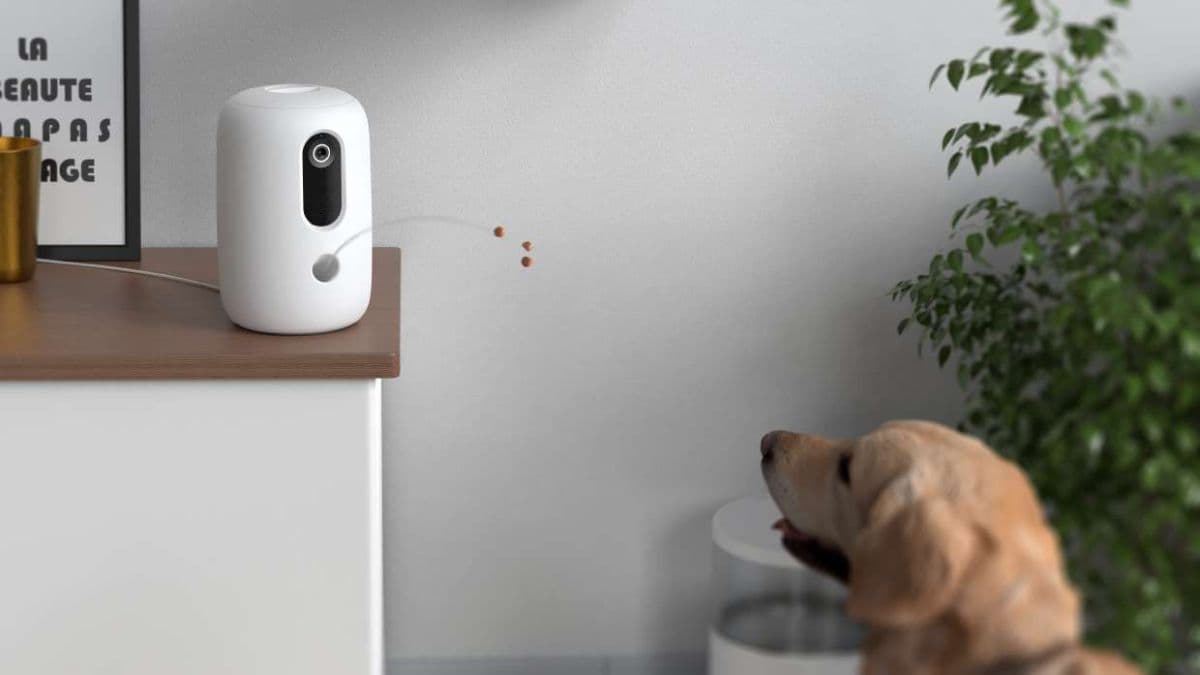 UrbanIQ TreatSync Feeder | HD Smart Pet Treat Dispenser with Camera and App - Image 2